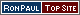 Top Ron Paul Sites